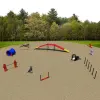 Silver Dog Park Agility Package thumbnail 1