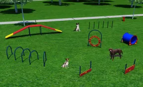 Gold Dog Park Agility Package