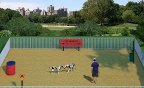 Absolute Basics Dog Park Amenities Kit