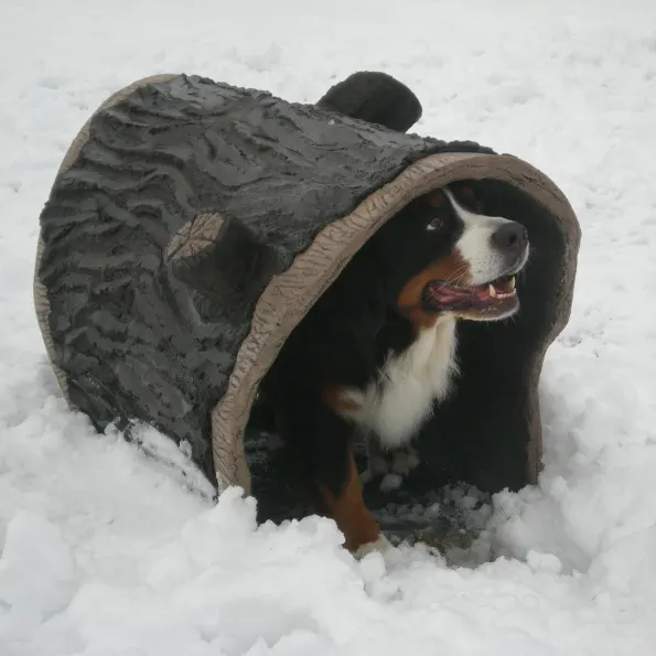 NatureDog™ Dog Park System