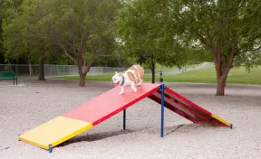 Dog Park A-Frame