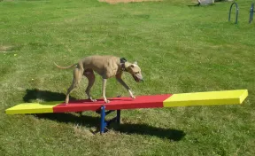 Teeter Totter