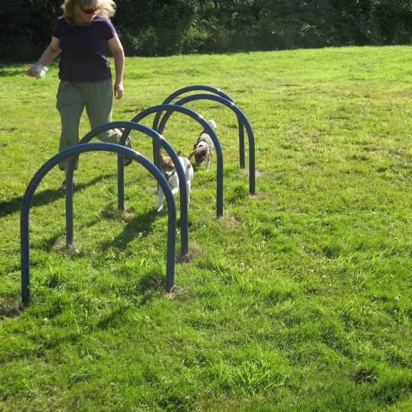 Hound Hoops Set of 5