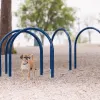 Hound Hoops Set of 5 thumbnail 1