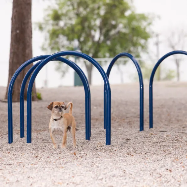Hound Hoops Set of 5