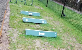 Hound Hurdles Set of 4