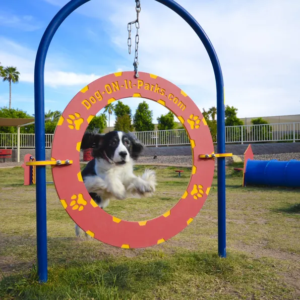 Dog Park Adjustable Tire Jump