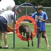 Dog Park Adjustable Tire Jump thumbnail 5