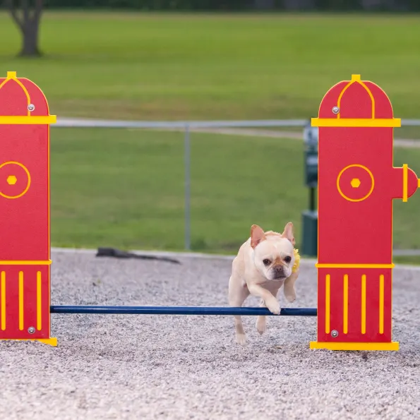 Dog Park Adjustable Jump Bar