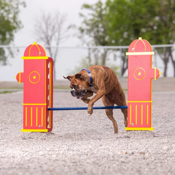 Dog Park Adjustable Jump Bar