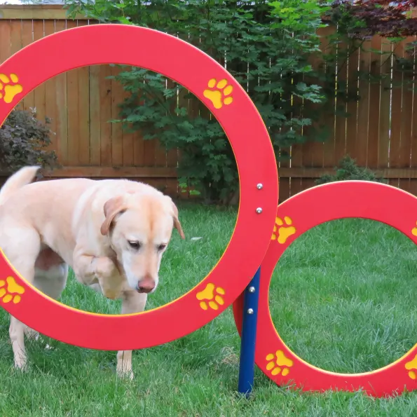 Double Hoop Dog Park Jump