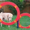 Double Hoop Dog Park Jump thumbnail 4