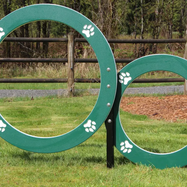 Double Hoop Dog Park Jump