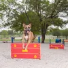 Wall Jump thumbnail 2
