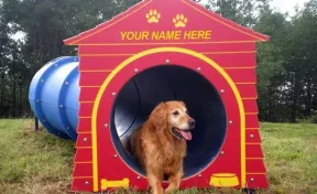 Bow Wow Barrel with Doghouse