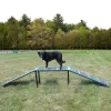 Whippet Walk thumbnail 1