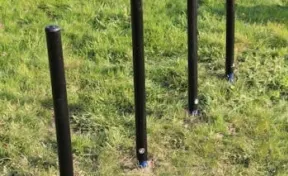 Sheltie Shimmy Poles - Set of 4