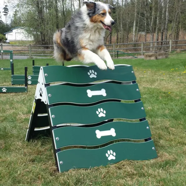 Collie Crawl