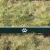 Dog Park Pointer Plank Jumps thumbnail 7