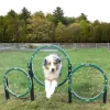 Husky Triple Hoop thumbnail 1