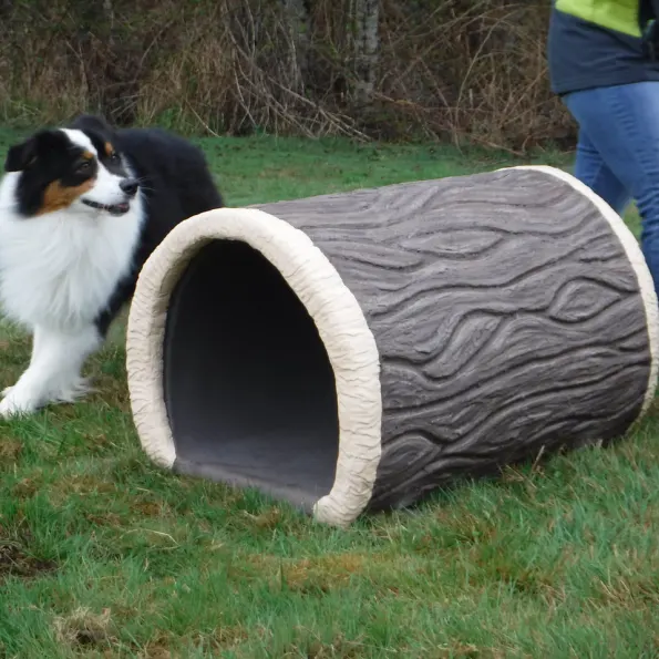 Terrier Tunnel