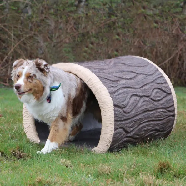 Terrier Tunnel