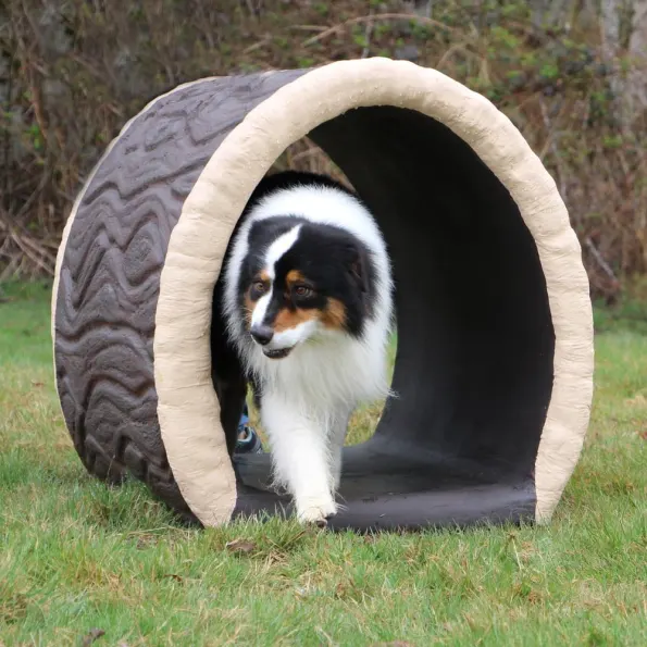 Dog Through the Log Dog Park Tunnel