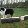 Dog Leg Walk - Set of 2 thumbnail 1