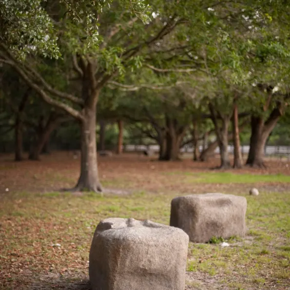 Dog Park Climbing Boulders