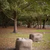 Dog Park Climbing Boulders thumbnail 3