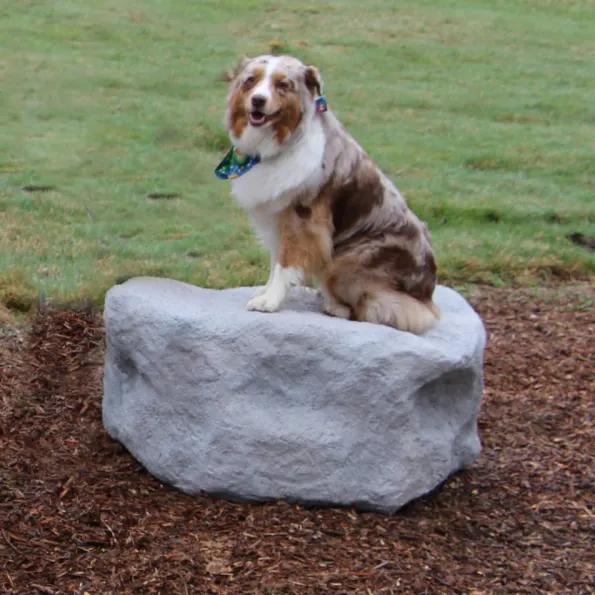 Dog Park Climbing Boulders