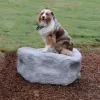 Dog Park Climbing Boulders thumbnail 4