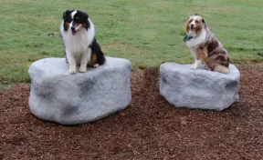 Dog Park Climbing Boulders