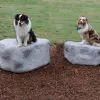 Dog Park Climbing Boulders thumbnail 1