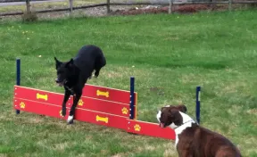 Tri-Level Jump