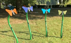 Butterflies Ensemble