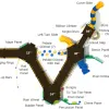 Cypress Preserve Inclusive Play Structure thumbnail 4