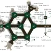 Tallgrass Prairie Inclusive Play Structure thumbnail 4