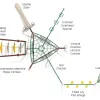 Long Ponds Get Physical Structure thumbnail 4