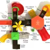 Point Clear Spark Structure thumbnail 4