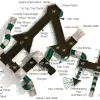 Rosedale Inclusive Max Structure thumbnail 9
