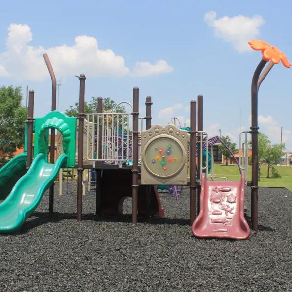 Wanette Zoo Play Structure