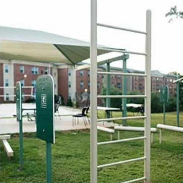 Vertical Fitness Ladder