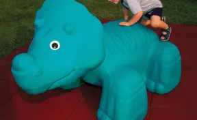 Triceratops Climber