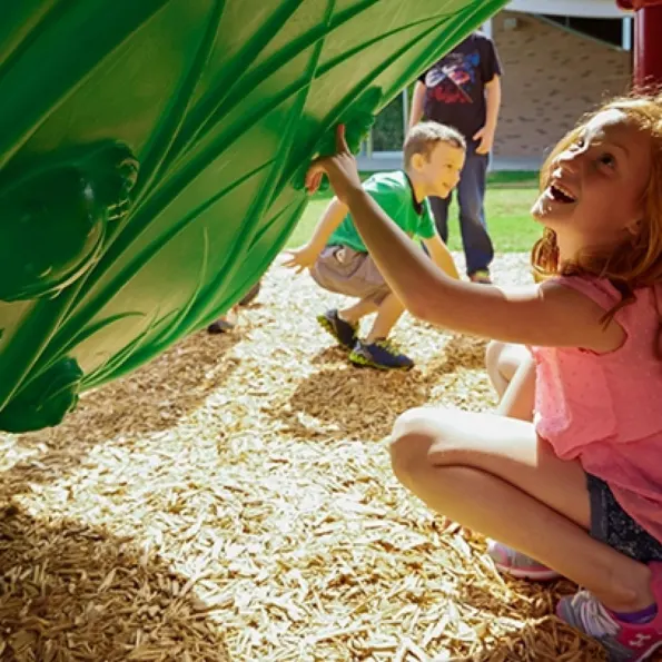 Hawk's Nest Play Structure