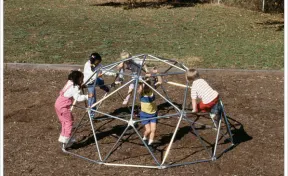 Geo Dome Climber