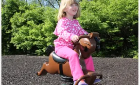 Derby Spring Rider