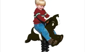 Eclipse Spring Rider