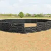 In-Ground High-Wall Gaga Ball Pit thumbnail 12