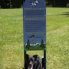 Custom Dog Park Rules Sign thumbnail 1